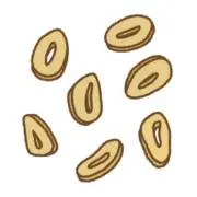 ガーリックの画像