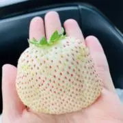 yukaの画像