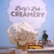 yumm.sの画像