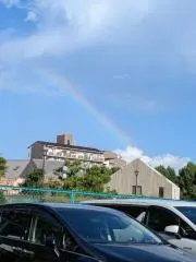 ここすけの画像