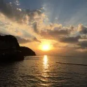 さら｜即購入OK