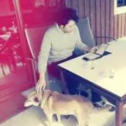 ベルメルの画像
