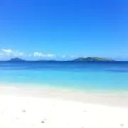 ルイボスの画像