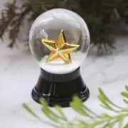 柊