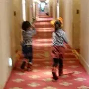 ぎずも