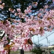 いち☆