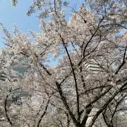 ^_^の画像