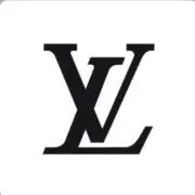 LVの画像