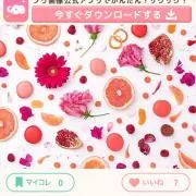 Reikoプロフ必読