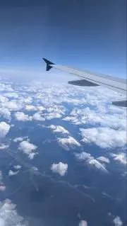 dansyaryの画像