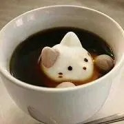 たーの画像