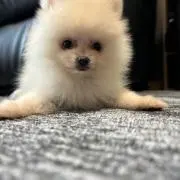 ういの画像