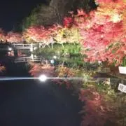 ゆうか⭐️即購入OK⭐️の画像