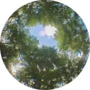 けにいの画像