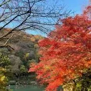 R☆プロフ必読の画像