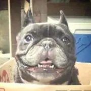 miyo