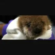 プロフ読んでね、韮澤さん
