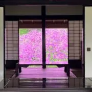 ❄︎⭐︎・*Luckey☘️*・⭐︎❄︎の画像