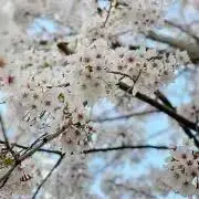 ユーロの画像