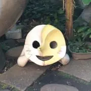 モモタ