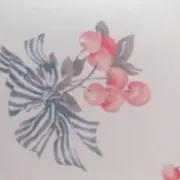koroneの画像