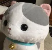 コロ助