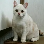 エリー