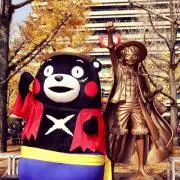 tomoの画像