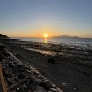 shoの画像