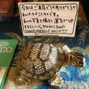 ＊ema＊プロフご確認くださいの画像