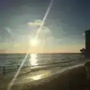 4ちびの画像