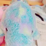 はるたその画像