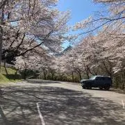 wittevwの画像
