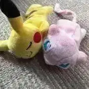 ハルpika@断捨離強化中の画像