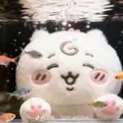 ちいちいの画像