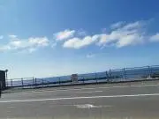 はむっとの画像