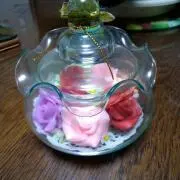 無農薬のお庭　ひいらぎの画像