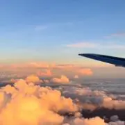 にっしーの画像