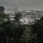 ︎︎林檎の画像