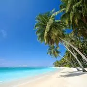 summerの画像