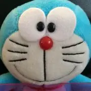 ドンちゃん