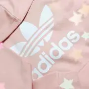 コキンちゃんの画像