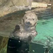 みるる※プロフ必見※の画像