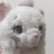 かきちゃんの画像