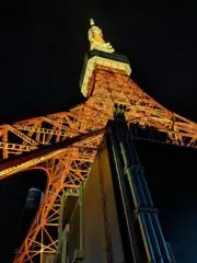 ☆ヒカル☆┃即日24時間以内発送┃の画像
