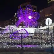 ゆーかの画像