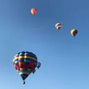 ゆずの画像
