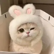 aの画像