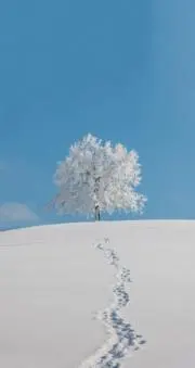 Nの画像