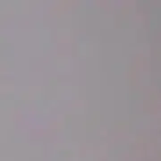 ぽぽ